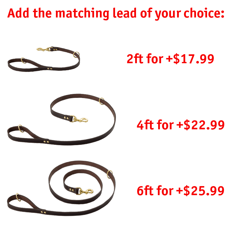 Matching Leash Option