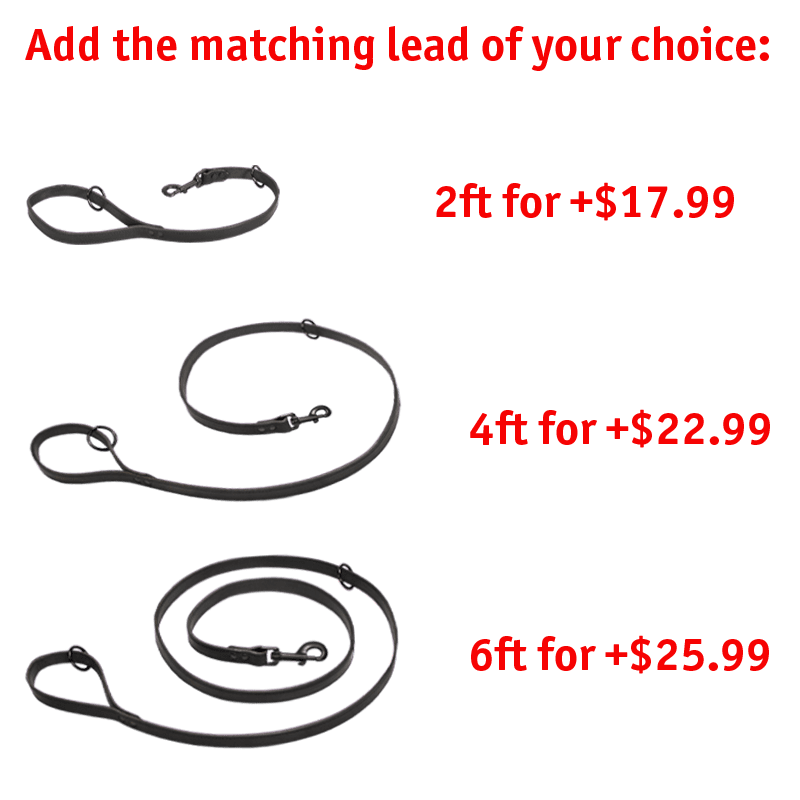 Matching Leash Option