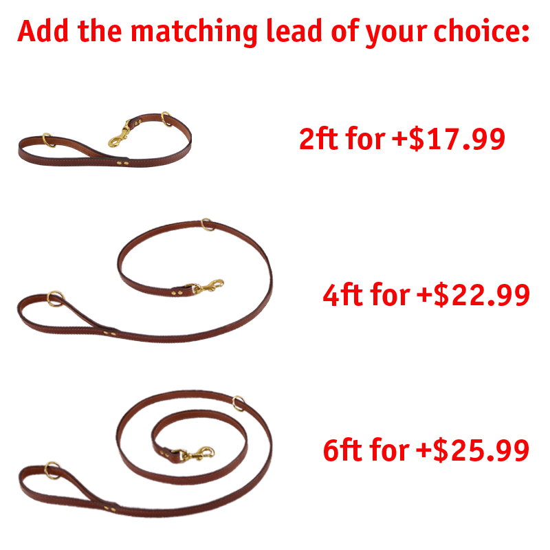 Matching Leash Option