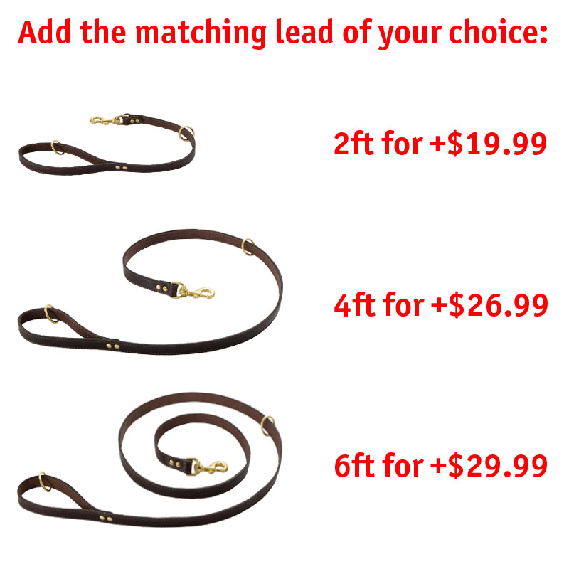 Matching Leash Option