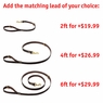 Matching Leash Option