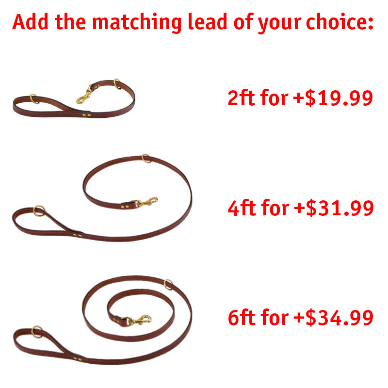 Matching Leash Option