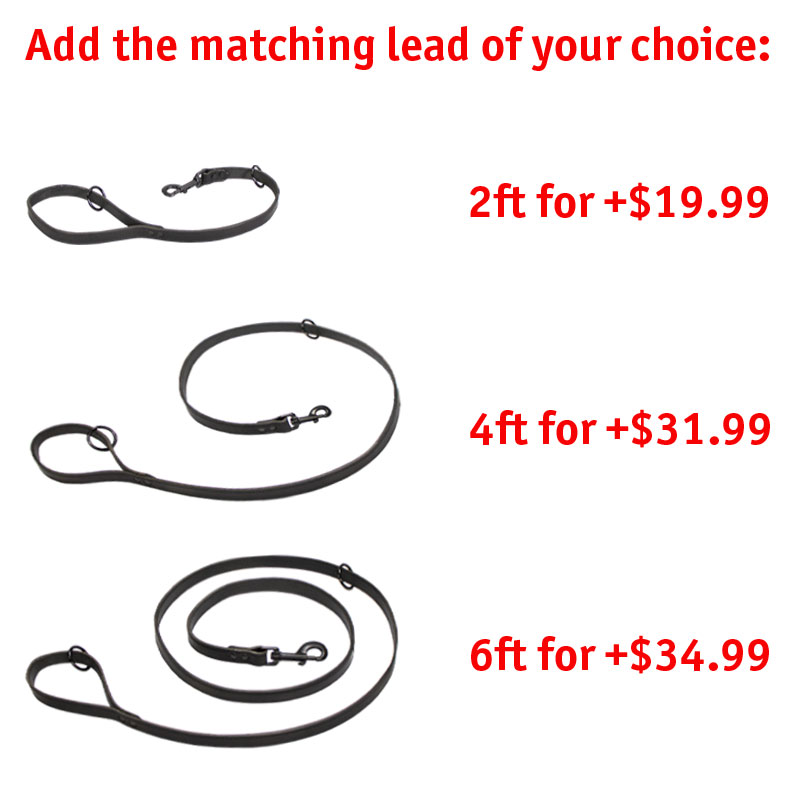 Matching Leash Option