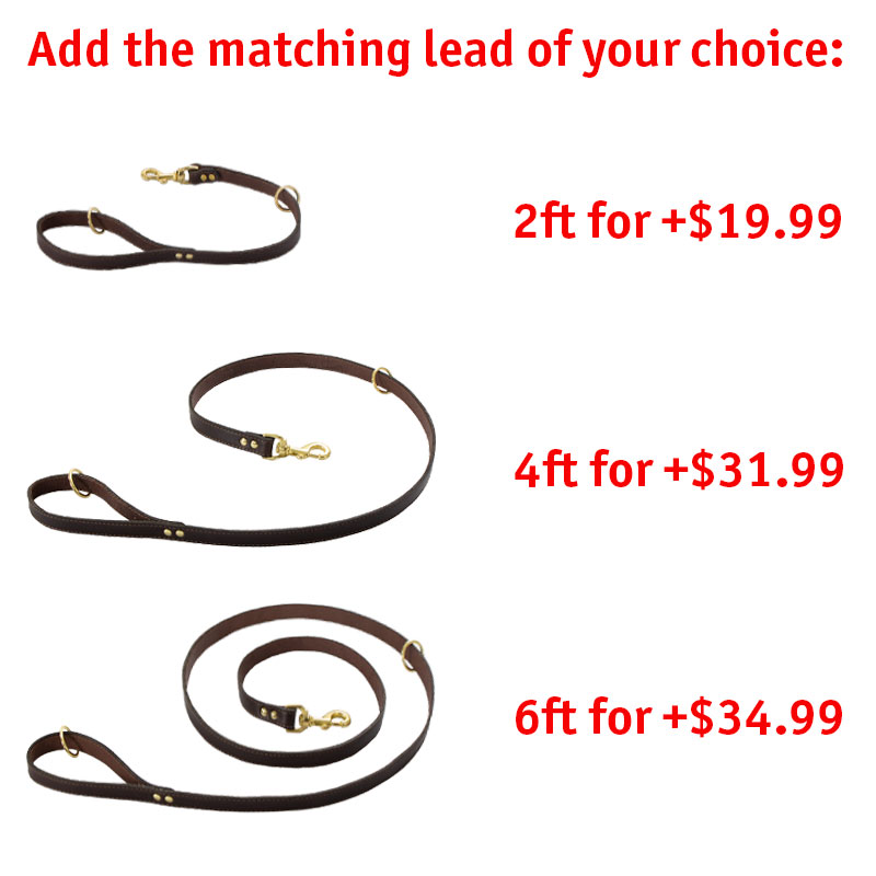 Matching Leash Option