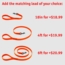 Matching Leash Options