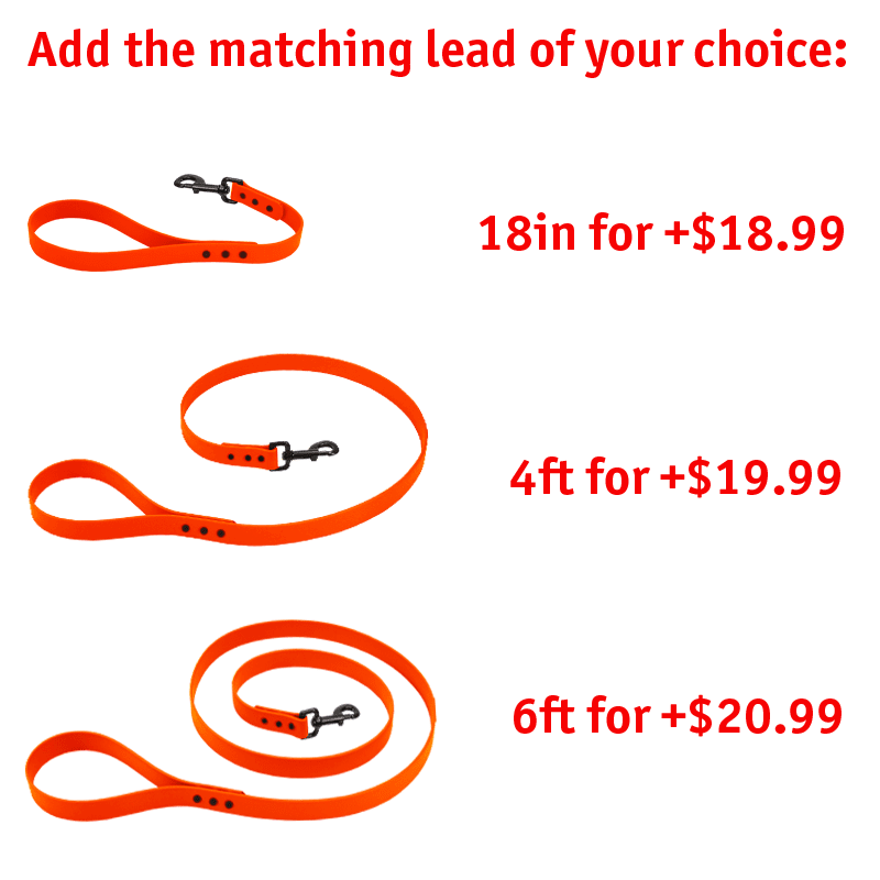 Matching Leash Options