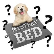  shop MEDIUM Bizzy Beds&#174; Dog Bed -- MYSTERY BED!