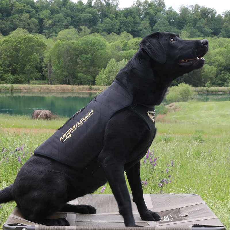MOmarsh Versa Vest in Use