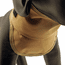 Neck Protection Neck View