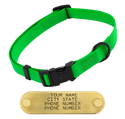 NEON GREEN LONG 3/4 in. QUICK DAWG Nylon Quick Release Collar