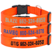 NEON ORANGE 1 in. Custom Embroidered Kwik Klip Nylon Dog Collar