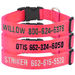 NEON PINK 1 in. Custom Embroidered Kwik Klip Nylon Dog Collar