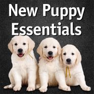  shop Puppy Products & Training Supplies