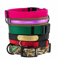 Nylon Dog Collars with FREE NAME PLATES!