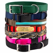 Nylon Dog Collars with FREE NAME PLATES!