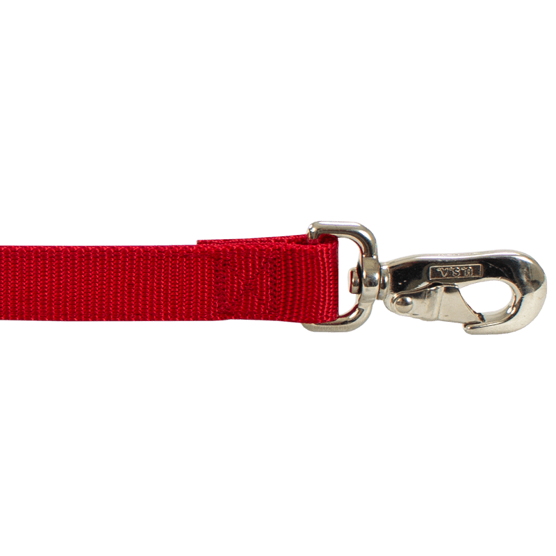 Nylon Leash Snap Detail