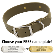  shop OLIVE GREEN BIGGER DAWG 1 1/2 in. Biothane Standard Collar