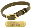 OLIVE GREEN BRASS DAWG 1 in. Biothane Standard Collar