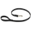 BLACK Omnipet Bravo 1 in. x 4 ft. 2-Ply Stitched Nylon Leash
