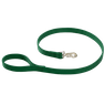 GREEN Omnipet Bravo 1 in. x 4 ft. 2-Ply Stitched Nylon Leash