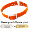 ORANGE 1 in. SunGlo O-Ring Collar