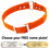 ORANGE 1 in. SunGlo O-Ring Collar