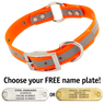 ORANGE 1 in. SunGlo Reflective O-Ring Collar