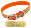 ORANGE 1 in. SunGlo Reflective Standard Collar