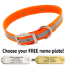 ORANGE 1 in. SunGlo Reflective Standard Collar