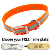  shop ORANGE 1 in. SunGlo Reflective Standard Collar