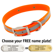  shop ORANGE 1 in. SunGlo Reflective Standard Collar