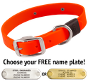 HUNTER ORANGE BIG DAWG 1 in. Biothane Standard Collar
