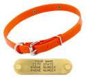 ORANGE 3/4 in. SunGlo D-End Puppy Collar