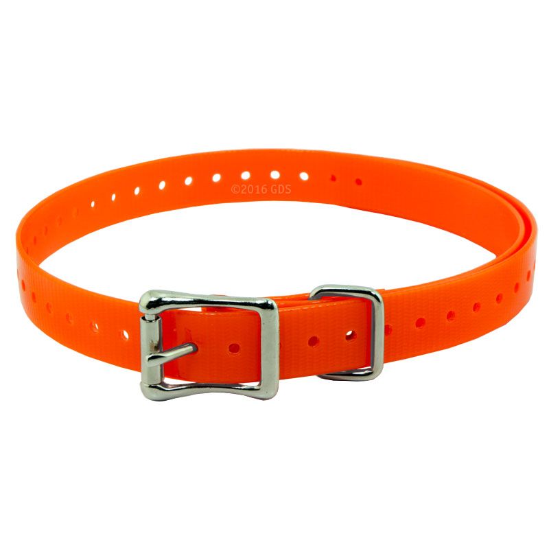 SportDOG 3/4 in. Replacement Straps Gun Dog Supply