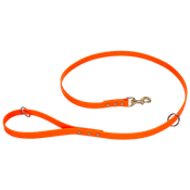  shop ORANGE 5 ft. GDS Biothane Combo Lead