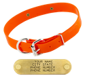 ORANGE 1 in. SunGlo D-End Collar