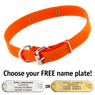 ORANGE 1 in. SunGlo D-End Collar