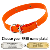  shop ORANGE 1 in. SunGlo D-End Collar