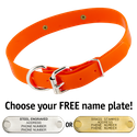 ORANGE 1 in. SunGlo D-End Collar