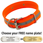  shop ORANGE 1 1/2 in. Beaded Reflective D-End Collar