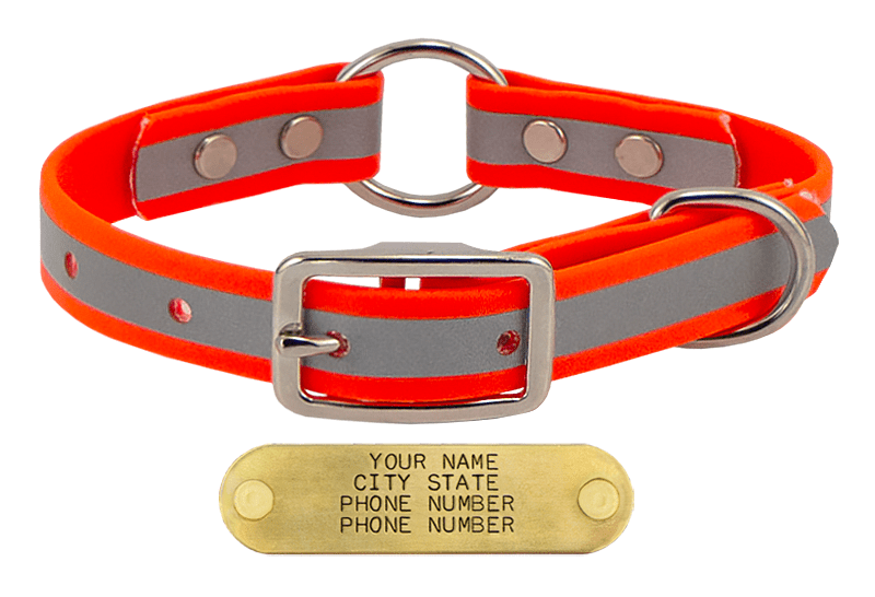 HUNTER ORANGE little dawg VISIBILITY 3/4 in. Biothane Puppy & Small Dog