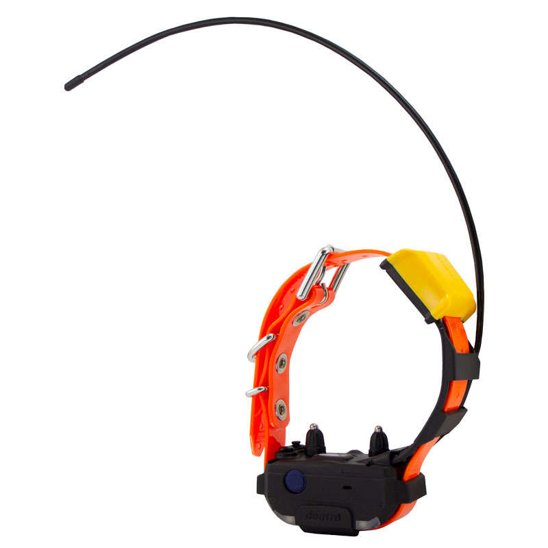 Orange Pathfinder 2 MINI Collar