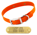 ORANGE 1 in. SunGlo Standard Collar