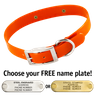 ORANGE 1 in. SunGlo Standard Collar
