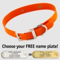 ORANGE 1 in. SunGlo Standard Collar