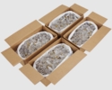 ORBEA Primed 12-Gauge Poppers -- 1000 rounds