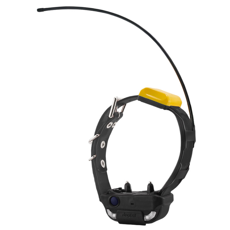 Pathfinder 2 Compass Collar
