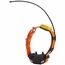 Pathfinder 2 Compass Collar