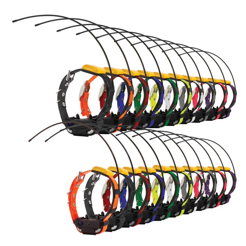 Pathfinder 2 Compass Multi Dog Collars