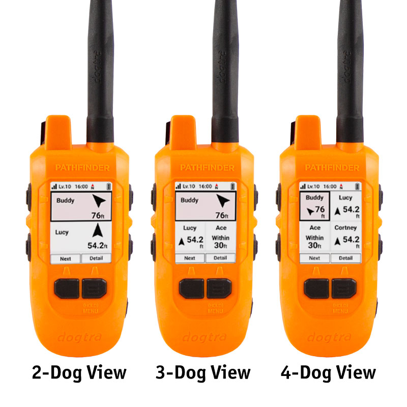 Pathfinder 2 Compass Multi-Dog Screen Detail